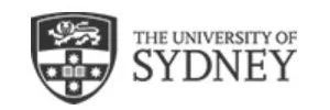Sydney Uni Post Surgery Rehabilitation Physiotherapist Hallidays Point